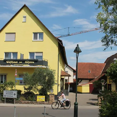 Zur Sonne 2* Freiburg im Breisgau